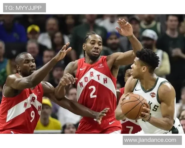 猛龙背后的故事：从少年到巨星之路