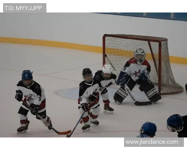 冰球比赛中守门员扑救选择行为与进攻模式的相互作用与对比分析 冰球比赛中守门员扑救选择行为与进攻模式的相互作用与对比分析